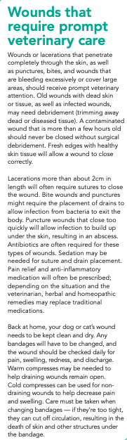 wounds - vet care