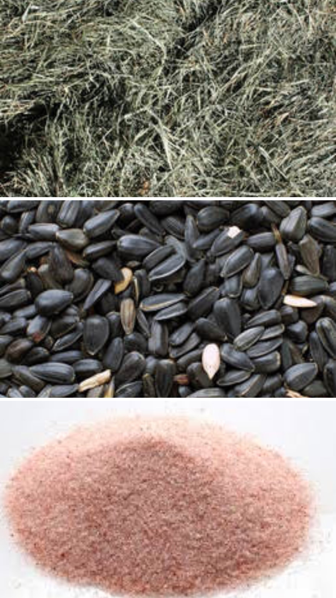 equine food
