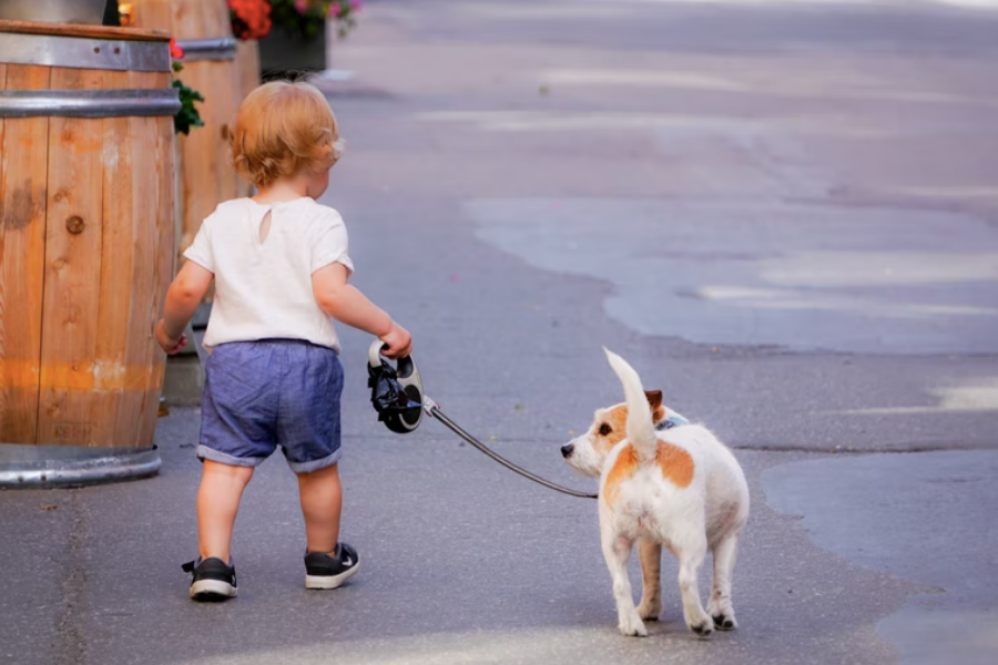 do dogs and toddlers mix?