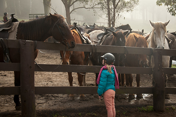 What Is 4H Horse Program