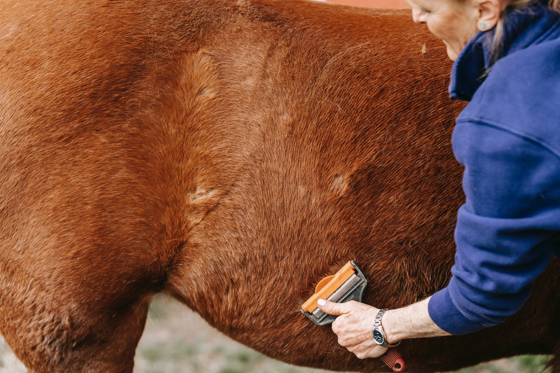 Why you shouldn’t skip a grooming session!