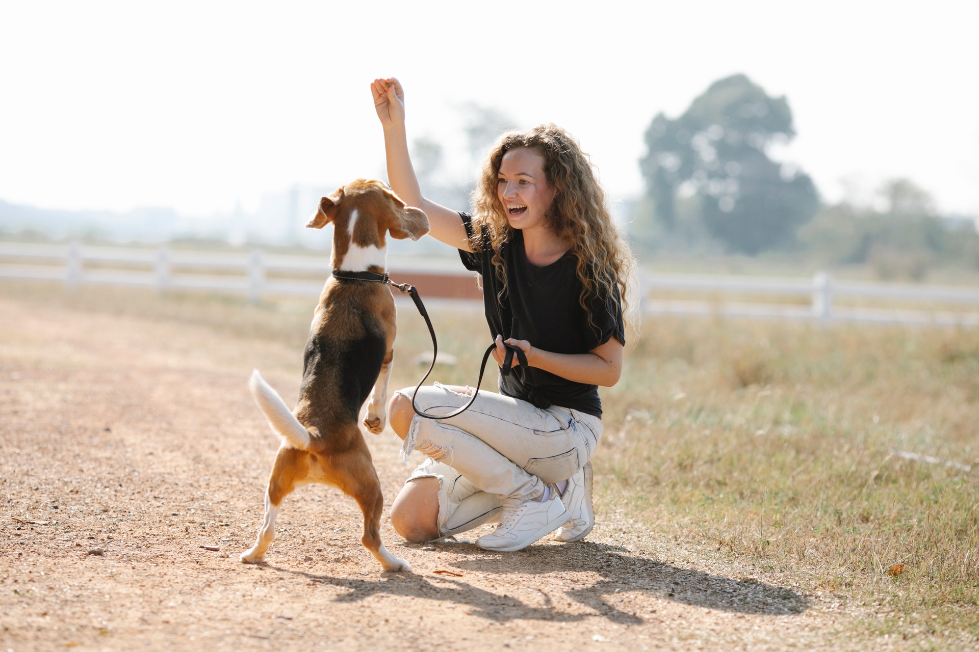 New dog treats support families in need