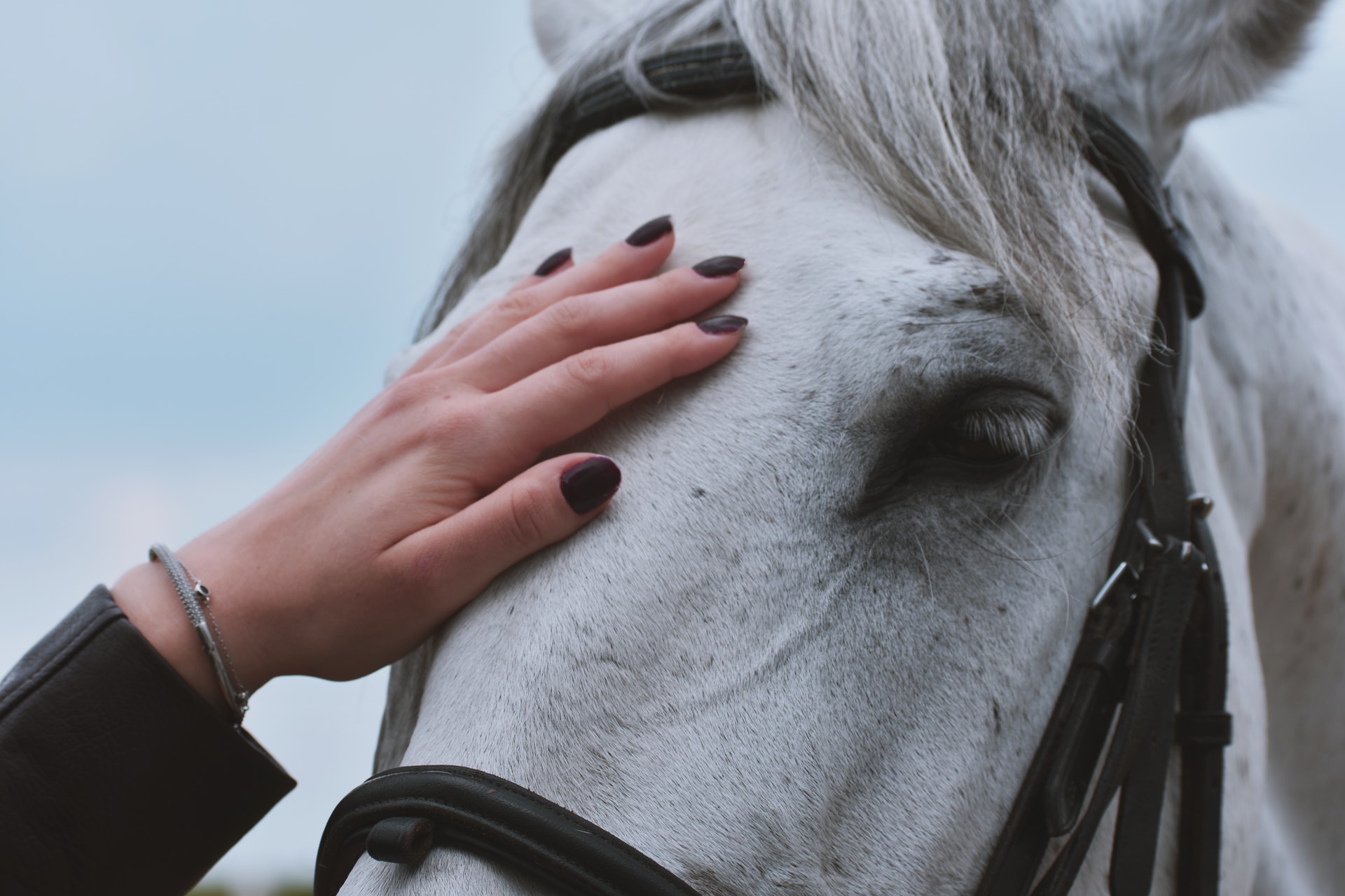 What is ‘horse therapy’ all about?