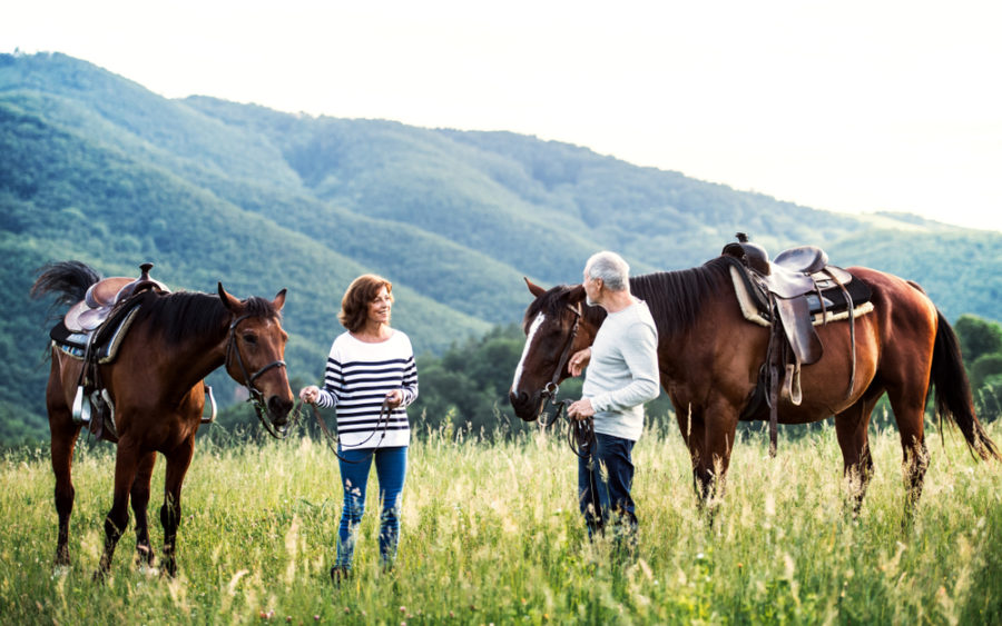 Top tips for seniors working with horses