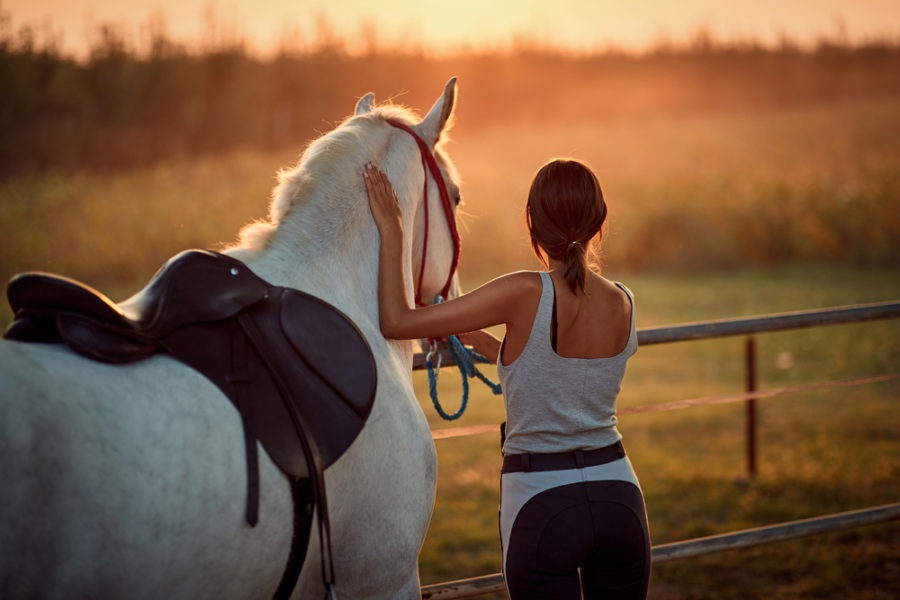 Easing equine anxiety for better performance