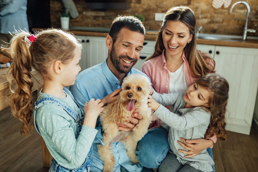 New survey shows most pandemic dogs and cats are still in their homes