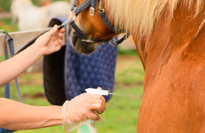 Natural bug control for horses