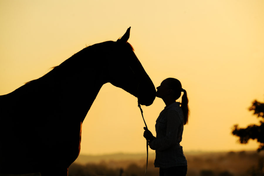 Achieve success in the show ring with Animal Communication