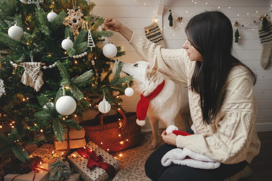 How “extra” are pet parents during the holidays?