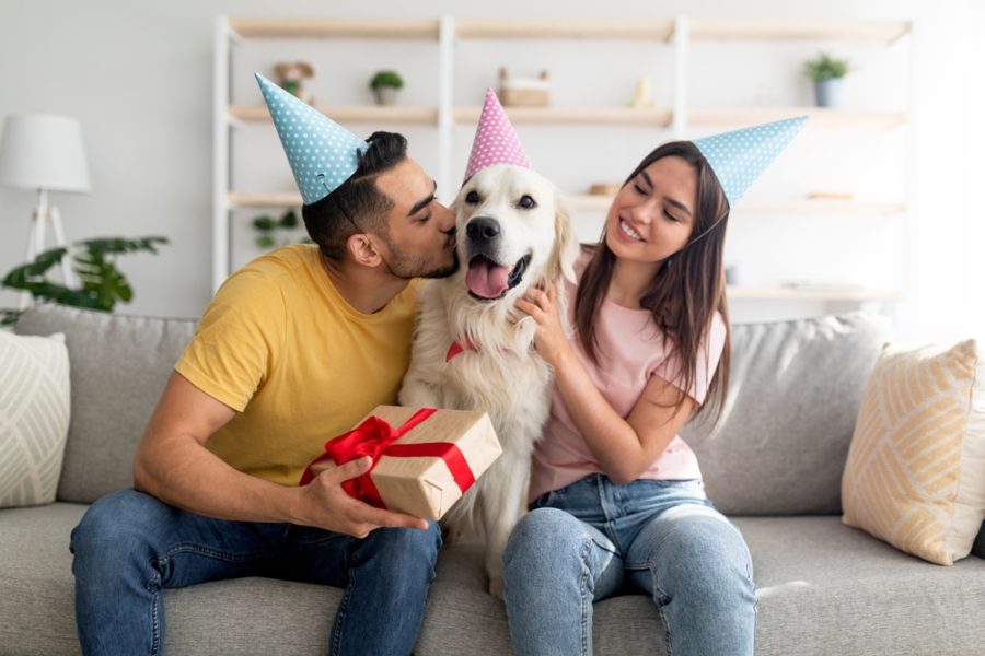 Gifts for your dog or cat that keep on giving