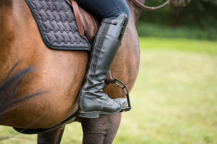 Tips for when your horse comes home from the trainer