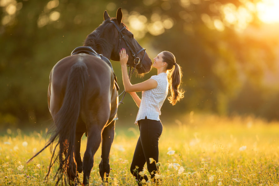 Understanding decreased energy and performance in hot weather