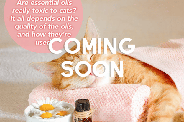 Cats and essential oils — unraveling the controversy