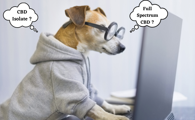 How to Choose and Understand the Difference Between “Full Spectrum” CBD Oil, “Broad Spectrum” CBD Oil and CBD “Isolate” for Pets