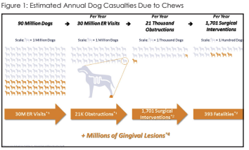 safe chews