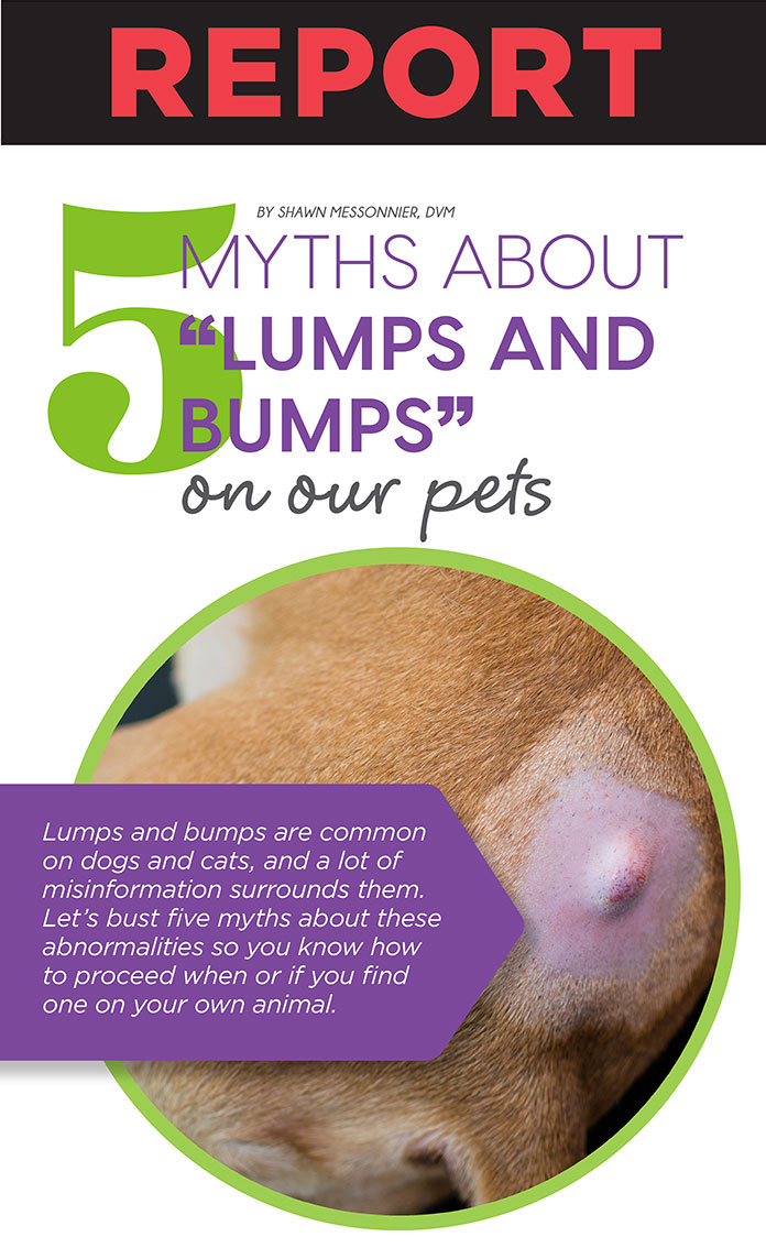 5 Myths About Lumps and Bump on our Pets | Animal Wellness Academy
