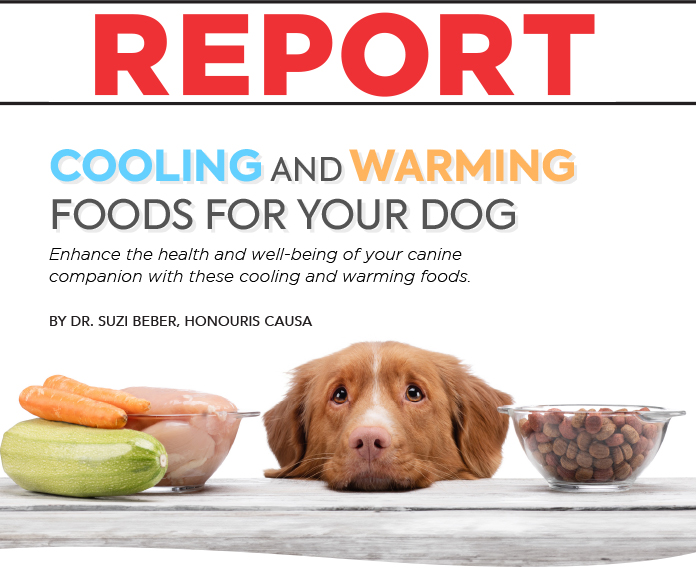 cooling and warming foods for your dog
