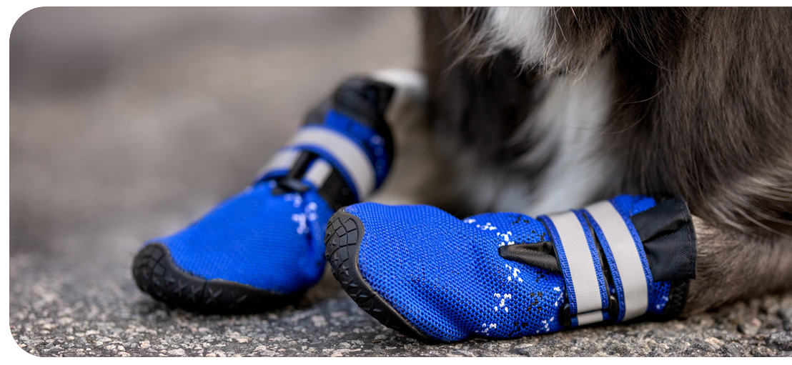 Protect his paws