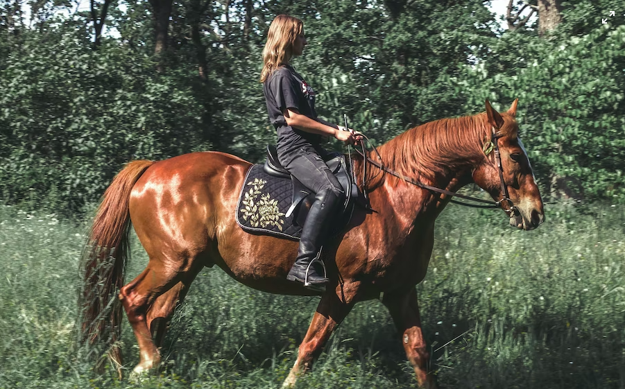 saddle fitting