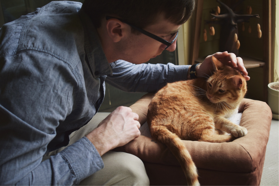 Amoxicillin shortage