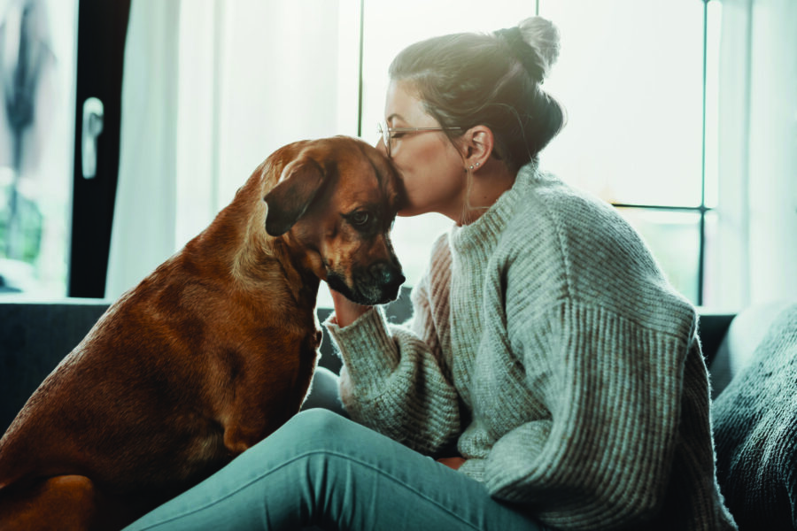 Understanding Aging in Pets - a woman kissing her dog