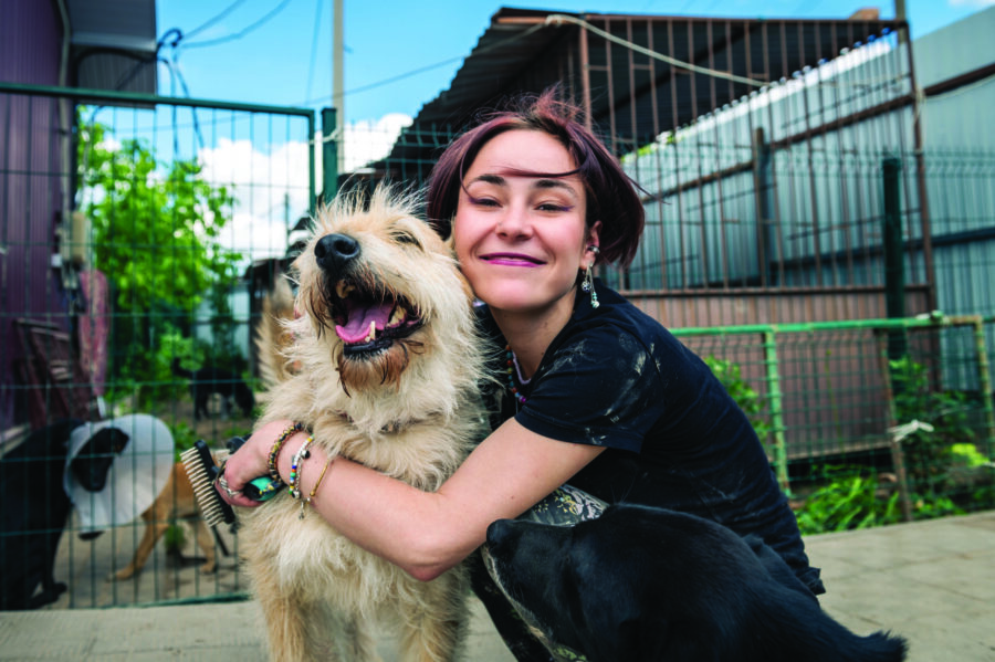 A young girl kneels beside a playful dog at an animal shelter, showcasing the bond between humans and animals in a safe haven.