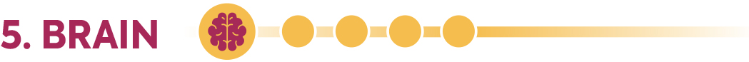 5. BRAIN