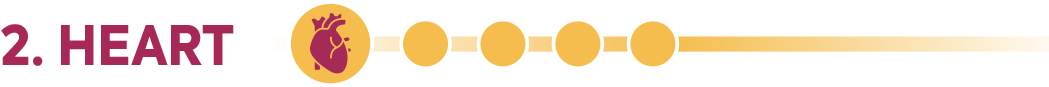 2. HEART