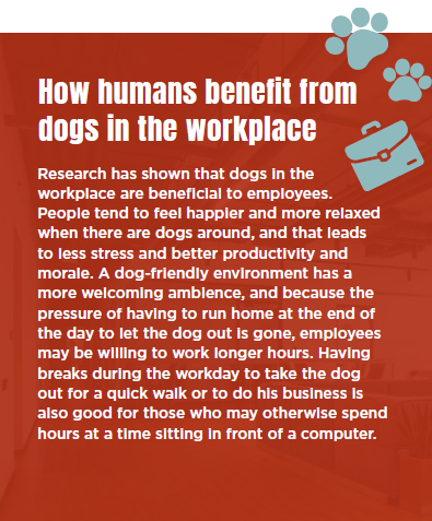 dogs in the workplace - 1