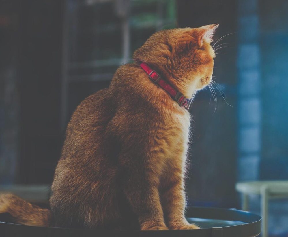 why your keeps you awake at night
