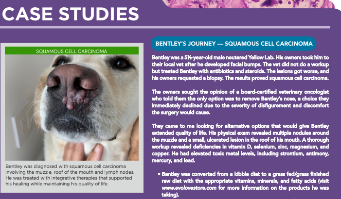 Integrative approach to animal oral cancer treatment