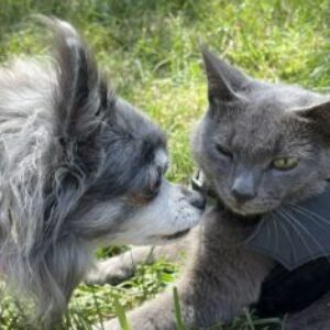 Profile photo of Kim Asselberghs