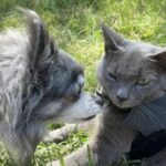 Profile photo of Kim