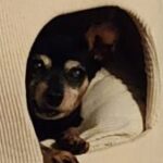 Profile photo of linda sobieski